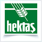 HEKTAŞ